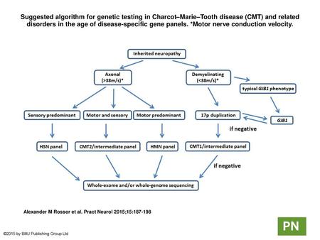 Suggested algorithm for genetic testing in Charcot–Marie–Tooth disease (CMT) and related disorders in the age of disease-specific gene panels. *Motor nerve.