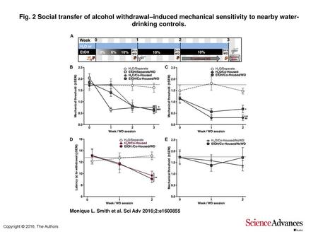 Fig. 2 Social transfer of alcohol withdrawal–induced mechanical sensitivity to nearby water-drinking controls. Social transfer of alcohol withdrawal–induced.