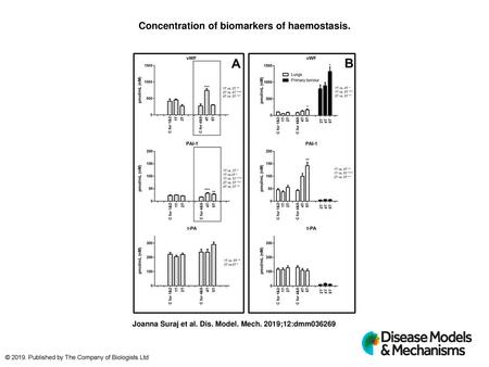 Concentration of biomarkers of haemostasis.