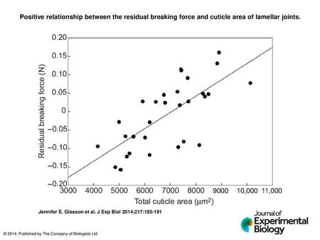 Positive relationship between the residual breaking force and cuticle area of lamellar joints. Positive relationship between the residual breaking force.