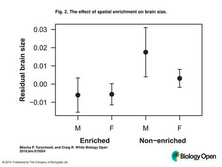 Fig. 2. The effect of spatial enrichment on brain size.