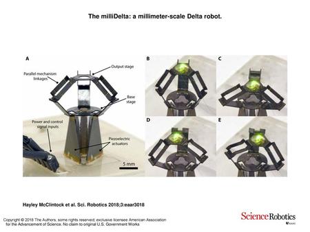 The milliDelta: a millimeter-scale Delta robot.