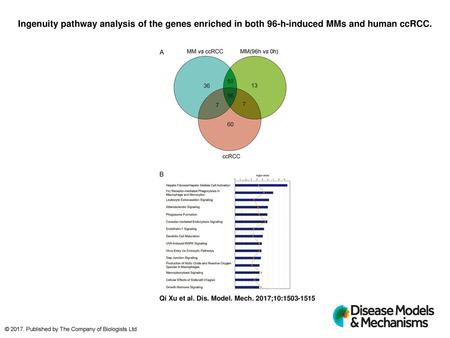 Ingenuity pathway analysis of the genes enriched in both 96-h-induced MMs and human ccRCC. Ingenuity pathway analysis of the genes enriched in both 96-h-induced.