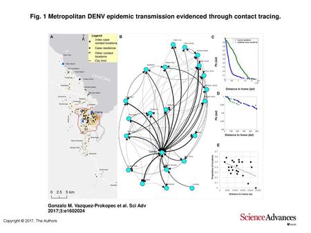 Fig. 1 Metropolitan DENV epidemic transmission evidenced through contact tracing. Metropolitan DENV epidemic transmission evidenced through contact tracing.