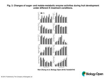 Fig. 3. Changes of sugar- and malate-metabolic enzyme activities during fruit development under different K treatment conditions. Changes of sugar- and.