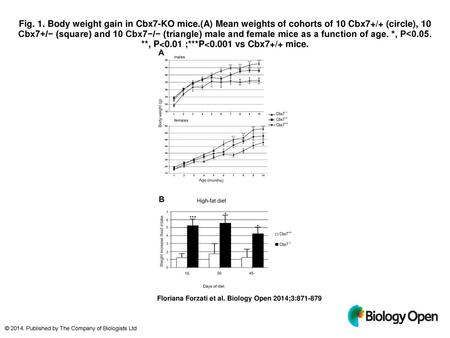 Fig. 1. Body weight gain in Cbx7-KO mice