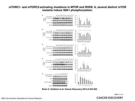 mTORC1- and mTORC2-activating mutations in MTOR and RHEB