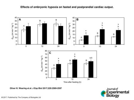 Effects of embryonic hypoxia on fasted and postprandial cardiac output