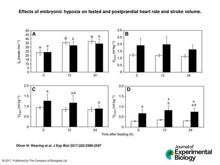 Effects of embryonic hypoxia on fasted and postprandial heart rate and stroke volume. Effects of embryonic hypoxia on fasted and postprandial heart rate.