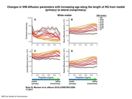 Changes in WM diffusion parameters with increasing age along the length of HG from medial (primary) to lateral (nonprimary). Changes in WM diffusion parameters.