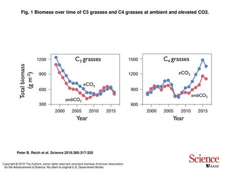 Fig. 1 Biomass over time of C3 grasses and C4 grasses at ambient and elevated CO2. Biomass over time of C3 grasses and C4 grasses at ambient and elevated.