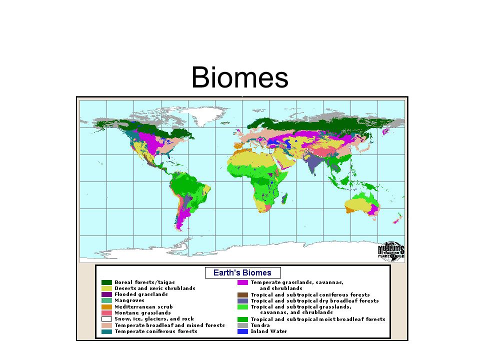 Free large and detailed terrain maps, different biomes/ geographical areas  - Community Resources - Developer Forum