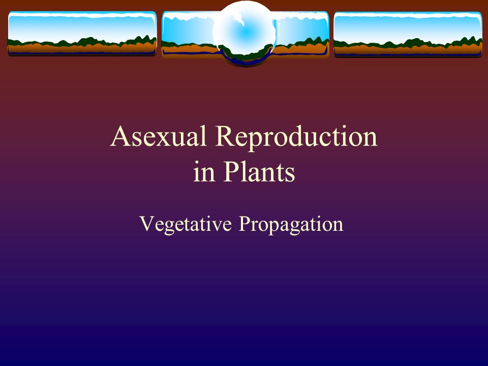 Asexual Reproduction in Plants - ppt video online download