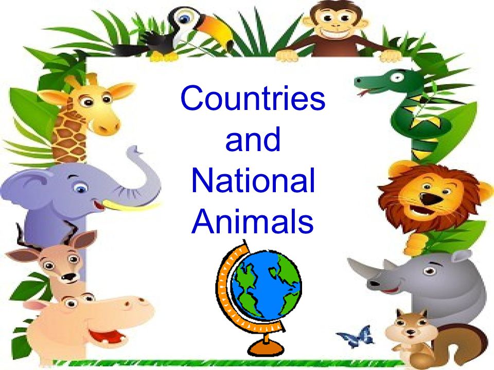 Countries and National Animals. Canada China Germany. - ppt download