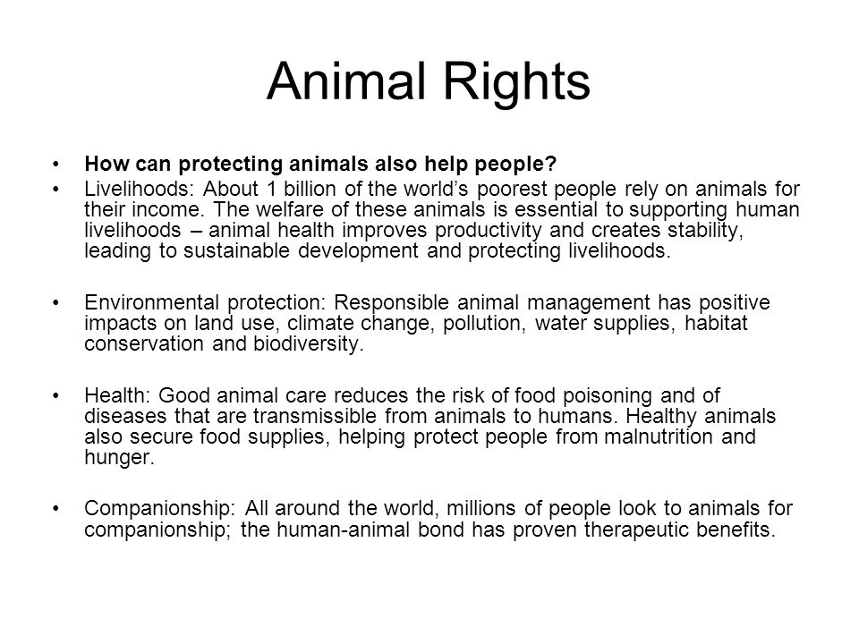 Animal Rights How can protecting animals also help people? Livelihoods:  About 1 billion of the world's poorest people rely on animals for their  income. - ppt download