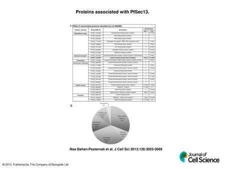 Proteins associated with PfSec13.