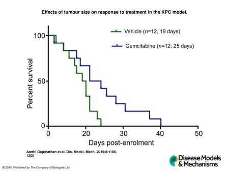 Effects of tumour size on response to treatment in the KPC model.