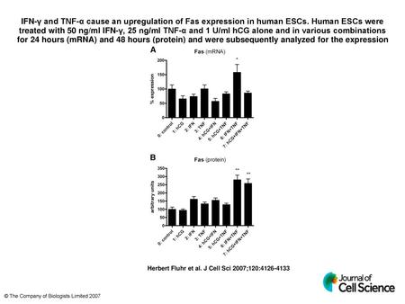 IFN-γ and TNF-α cause an upregulation of Fas expression in human ESCs