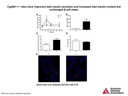 Cyp8b1−/− mice have improved islet insulin secretion and increased islet insulin content but unchanged β-cell mass. Cyp8b1−/− mice have improved islet.