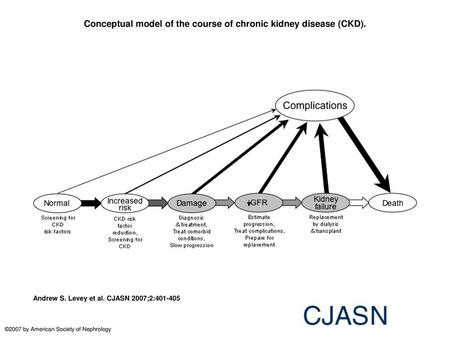 Conceptual model of the course of chronic kidney disease (CKD).