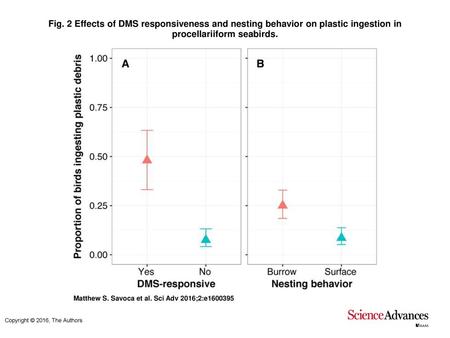 Fig. 2 Effects of DMS responsiveness and nesting behavior on plastic ingestion in procellariiform seabirds. Effects of DMS responsiveness and nesting behavior.