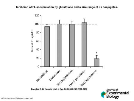 Inhibition of FL accumulation by glutathione and a size range of its conjugates. Inhibition of FL accumulation by glutathione and a size range of its conjugates.