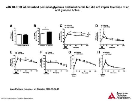 VAN GLP-1R kd disturbed postmeal glycemia and insulinemia but did not impair tolerance of an oral glucose bolus. VAN GLP-1R kd disturbed postmeal glycemia.