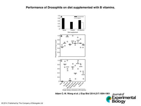 Performance of Drosophila on diet supplemented with B vitamins.