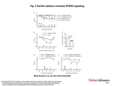 Fig. 3 Sortilin deletion unmasks NTSR2 signaling.