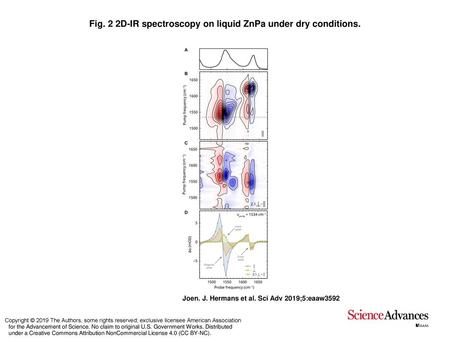Fig. 2 2D-IR spectroscopy on liquid ZnPa under dry conditions.