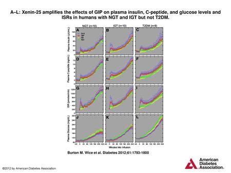A–L: Xenin-25 amplifies the effects of GIP on plasma insulin, C-peptide, and glucose levels and ISRs in humans with NGT and IGT but not T2DM. A–L: Xenin-25.