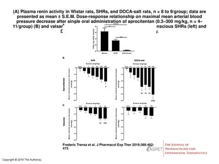 (A) Plasma renin activity in Wistar rats, SHRs, and DOCA-salt rats, n = 8 to 9/group; data are presented as mean ± S.E.M. Dose-response relationship on.