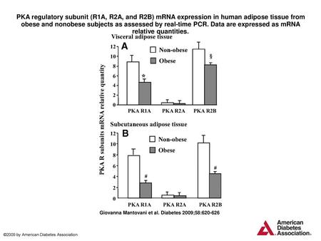 PKA regulatory subunit (R1A, R2A, and R2B) mRNA expression in human adipose tissue from obese and nonobese subjects as assessed by real-time PCR. Data.