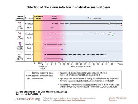 Detection of Ebola virus infection in nonfatal versus fatal cases.