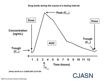Drug levels during the course of a dosing interval.