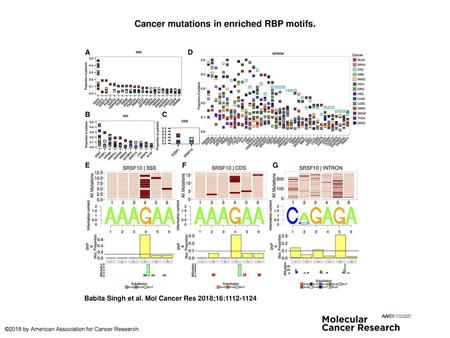 Cancer mutations in enriched RBP motifs.