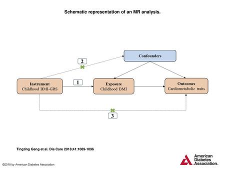 Schematic representation of an MR analysis.