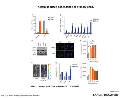 Therapy-induced senescence of primary cells.