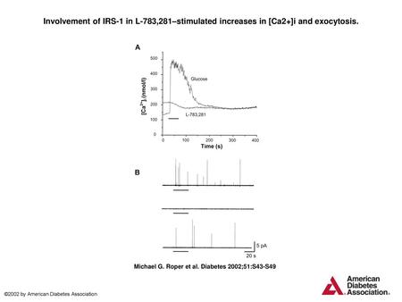 Involvement of IRS-1 in L-783,281–stimulated increases in [Ca2+]i and exocytosis. Involvement of IRS-1 in L-783,281–stimulated increases in [Ca2+]i and.