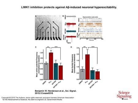 LIMK1 inhibition protects against Aβ-induced neuronal hyperexcitability. LIMK1 inhibition protects against Aβ-induced neuronal hyperexcitability. (A) Representative.