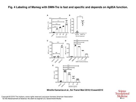 Fig. 4 Labeling of Msmeg with DMN-Tre is fast and specific and depends on Ag85A function. Labeling of Msmeg with DMN-Tre is fast and specific and depends.