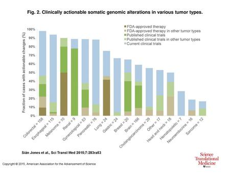 Fig. 2. Clinically actionable somatic genomic alterations in various tumor types. Clinically actionable somatic genomic alterations in various tumor types.