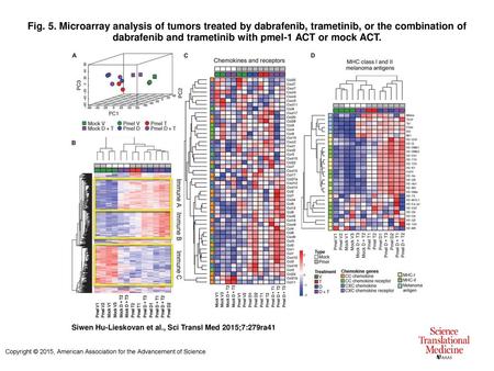 Fig. 5. Microarray analysis of tumors treated by dabrafenib, trametinib, or the combination of dabrafenib and trametinib with pmel-1 ACT or mock ACT. Microarray.