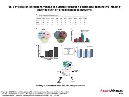 Fig. 6 Integration of responsiveness to nutrient restriction determines quantitative impact of MTAP deletion on global metabolic networks. Integration.