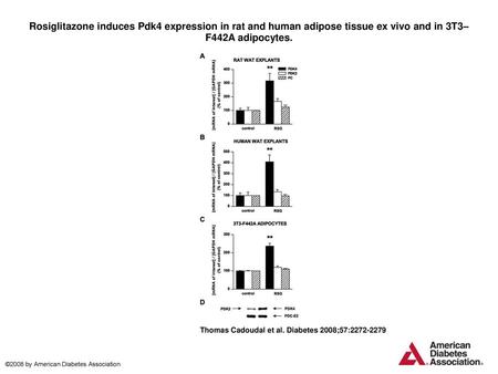 Rosiglitazone induces Pdk4 expression in rat and human adipose tissue ex vivo and in 3T3–F442A adipocytes. Rosiglitazone induces Pdk4 expression in rat.