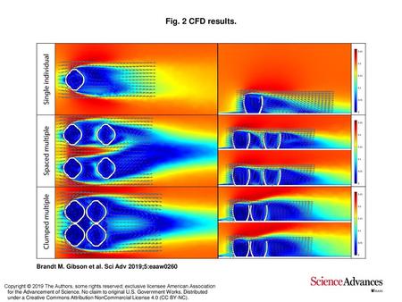 Fig. 2 CFD results. CFD results. Results of CFD simulations in horizontal (left column) and vertical (right column) cross-sections. All models oriented.
