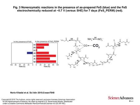 Fig. 3 Nonenzymatic reactions in the presence of as-prepared FeS (blue) and the FeS electrochemically reduced at −0.7 V (versus SHE) for 7 days (FeS_PERM)