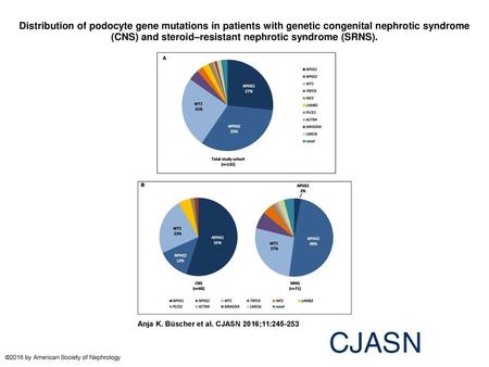 Distribution of podocyte gene mutations in patients with genetic congenital nephrotic syndrome (CNS) and steroid–resistant nephrotic syndrome (SRNS). Distribution.