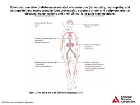 Schematic overview of diabetes-associated microvascular (retinopathy, nephropathy, and neuropathy) and macrovascular (cerebrovascular, coronary artery,