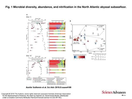Fig. 1 Microbial diversity, abundance, and nitrification in the North Atlantic abyssal subseafloor. Microbial diversity, abundance, and nitrification in.
